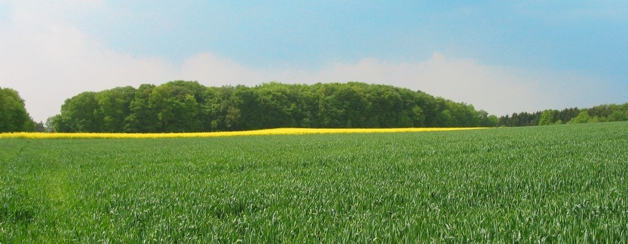 Avanus Wechselbild 1.jpg